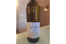 CUVÉE BÍLÉ SUCHÉ 2024